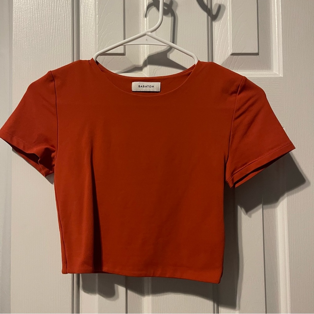 Aritzia Babaton Contour Cropped T-Shirt